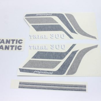 Adhesivos FANTIC 300 original Completo